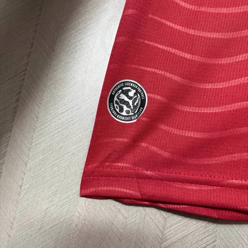 2026 Long Sleeve Portugal Home Shirt--7