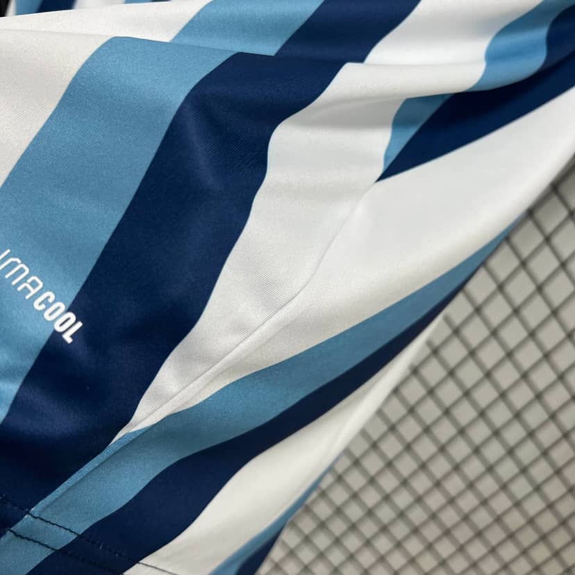 2026 Argentina National Team Pre-Match Training Striped Shirt--4