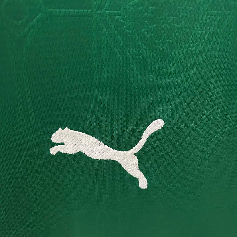 2025/2026 Palmeiras Home Jersey--4