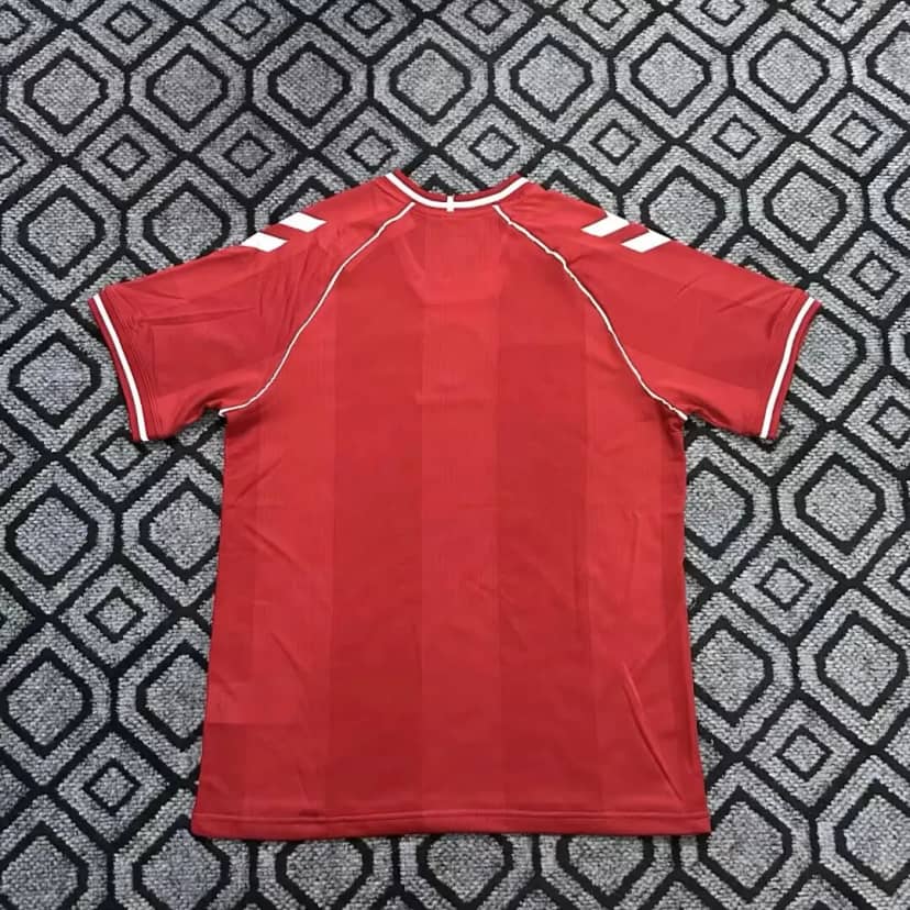 2026 Denmark National Team Home Shirt--1