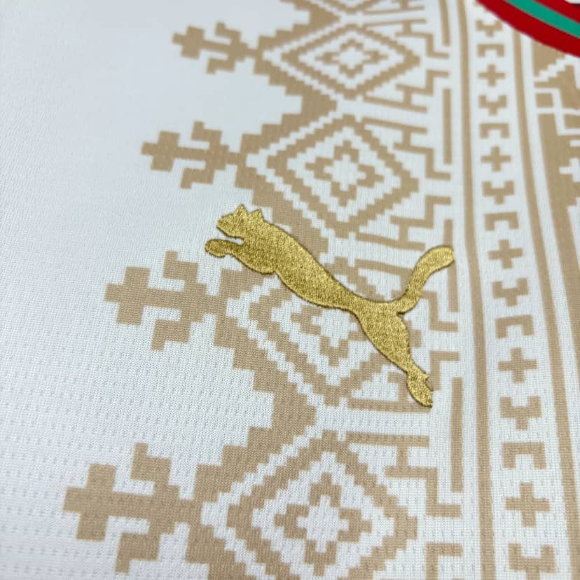 2026 Morocco National Team Away Shirt--4