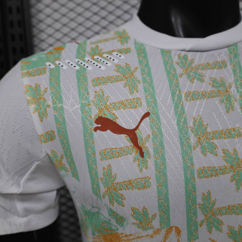 2026 Player Version Ivory Coast National Team Away Shirt--3