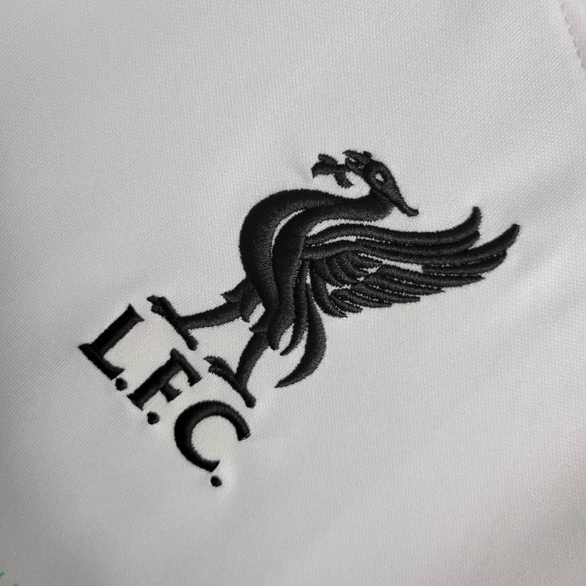 2023/2024 Liverpool Away Jersey--4