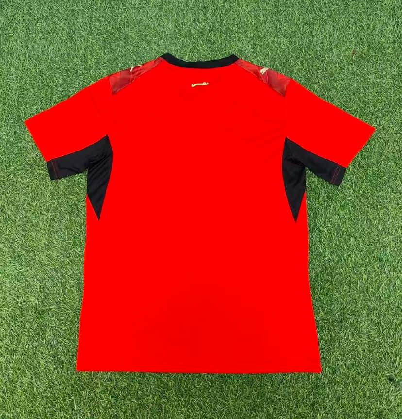 2026 Egypt National Team Home Shirt--1