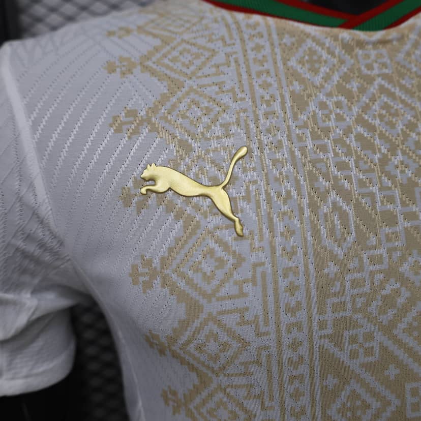 2026 Player Version Morocco National Team Away Shirt--4
