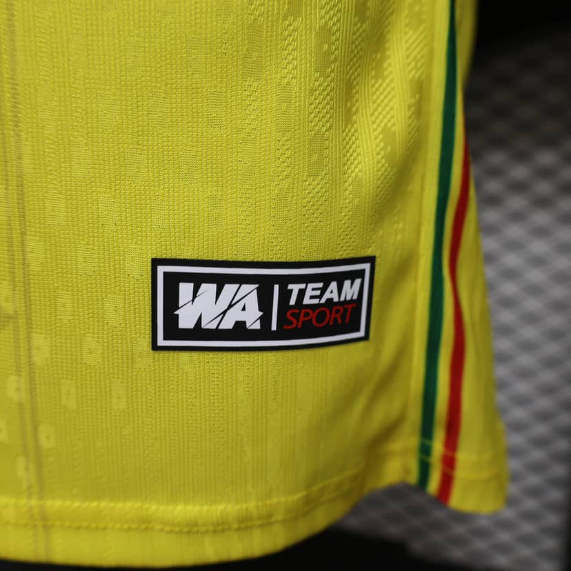 2026/2027 Player Version Mali Away Shirt--9