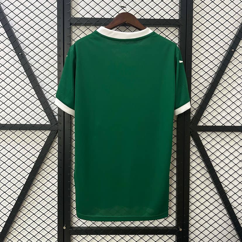 2025/2026 Palmeiras Home Jersey--1